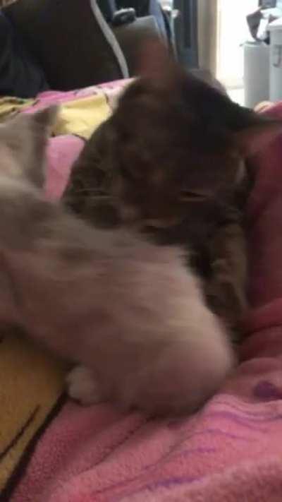 Even criminals need baths.