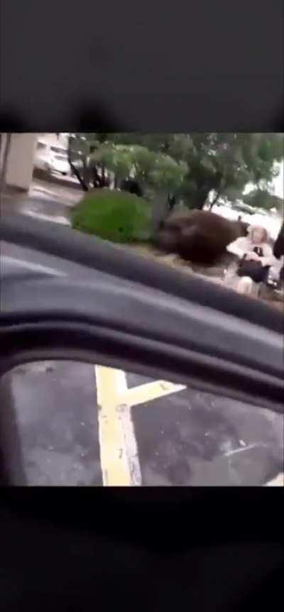 Woman continuously saying n-word get whats coming to her