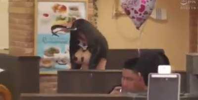 Chose the wrong profession