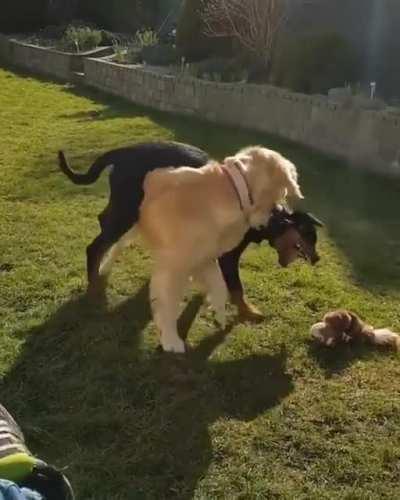 blocking your opponent