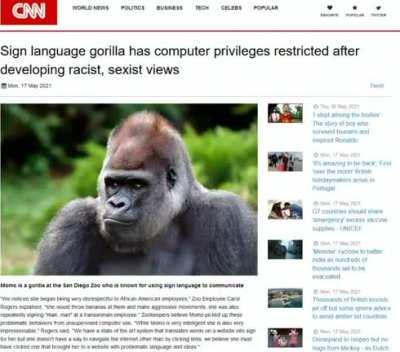 Gorillionaire Grindset Rule 547 - Become Racist after learning sign language