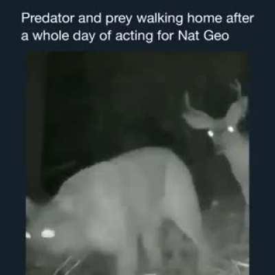 wah bate moj kar di 🤣