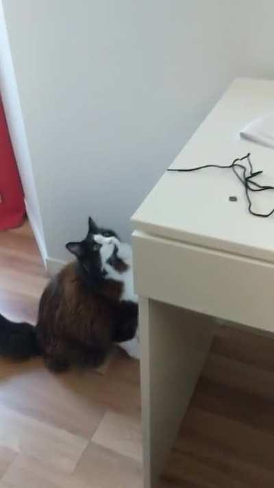 How high is this? Wait, how high was it again? Ok no chance... or maybe?