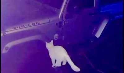 HMC while I make this easy jump