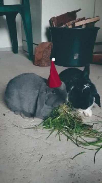 Happy Holidays, everyone💕✨