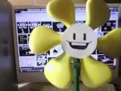 Howdy! I'm Flowey! Flowey the Fl- vvRRRRRRRRRRRRRRR (not sure if this counts lol)
