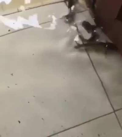 There’s life everywhere in the water