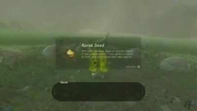 I think the Korok's just took their revenge for all the rocks i have dropped on them.