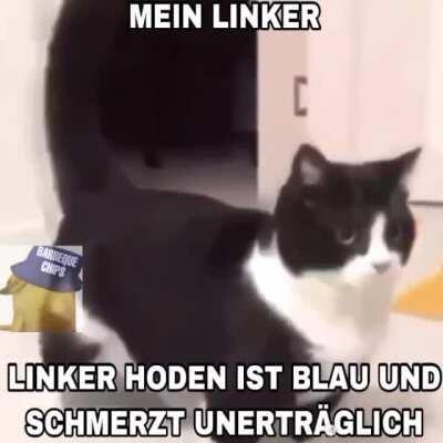 🤯(Kopf Kaputt Emoji)