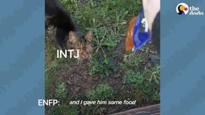 Beautiful ENFP and INTJ romance