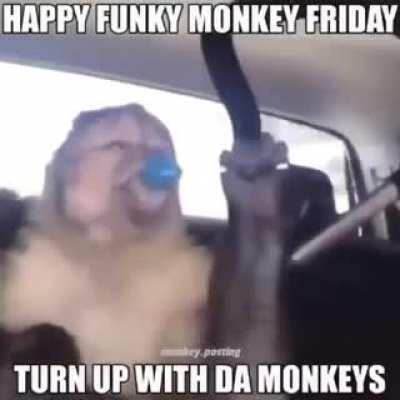 Pyro addressed the allegations LET'S GOOOOOO