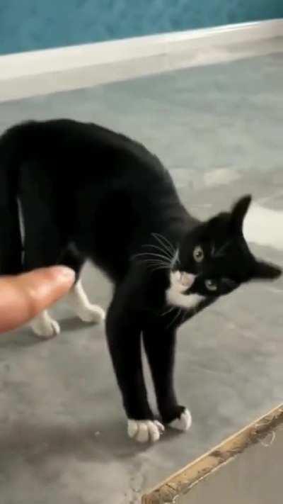 : Don't you dare point your finger at me 