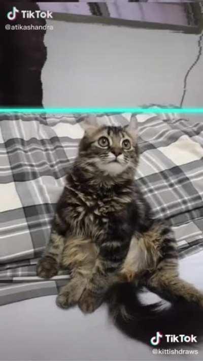 This is solid meme material