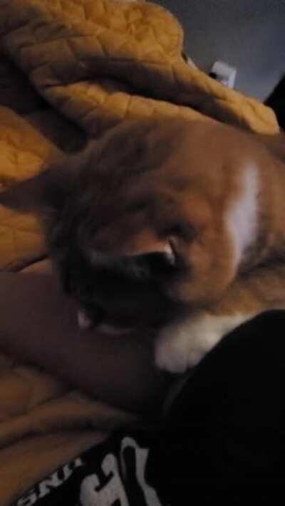 Did you want something, Ike?