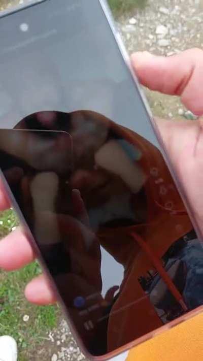 KING GOIN PLACES (Original vid by u/InfinitPower75)