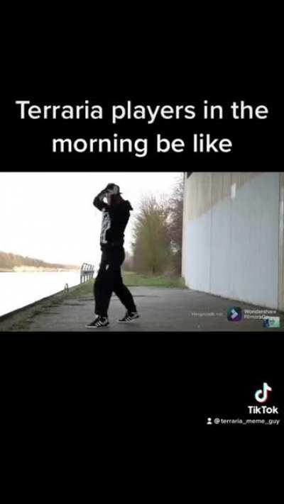 Terraria players in the morning be like: