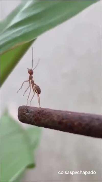 Como nasce um defensor da liberdade individual.