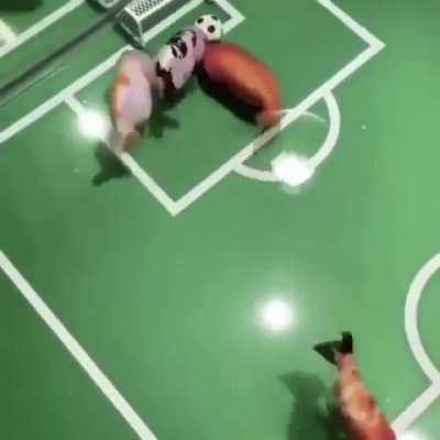 You’ve seen quite too many shitposts. Have some fish playing soccer :)