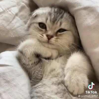 um vídeo fofo so pra ocupar espaço ;)