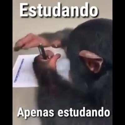 Muquinha? Estudando?