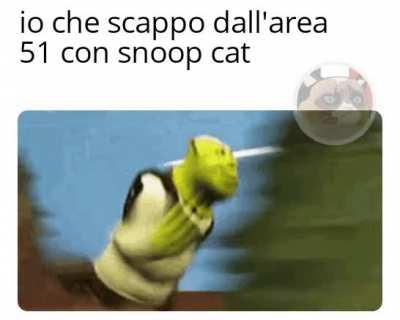 Al posto di snoop dog