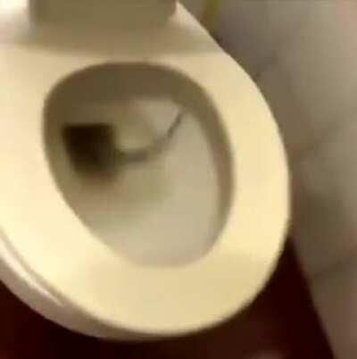 Leaked clip of sam’s next EFT video