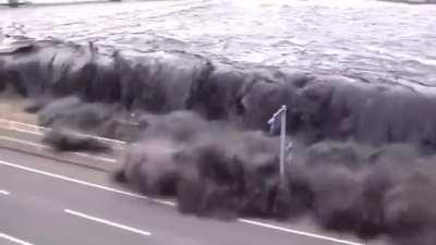 Эх, махнуть бы в развитую страну, домик с видом на океан, кататься на велике по набережной!