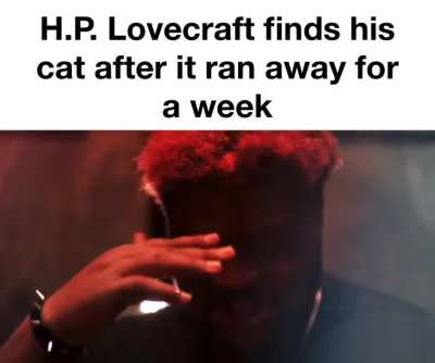 Losercity cat’s name