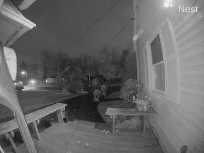 Kids steal all the Halloween candy; including my bowl