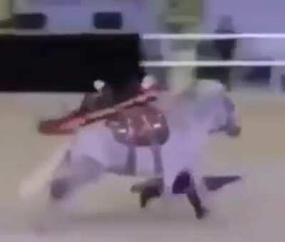 It's almost like a cartoon