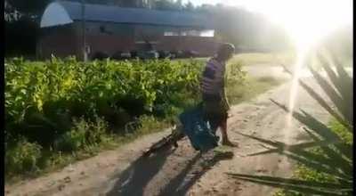 Pega esse vídeo rural