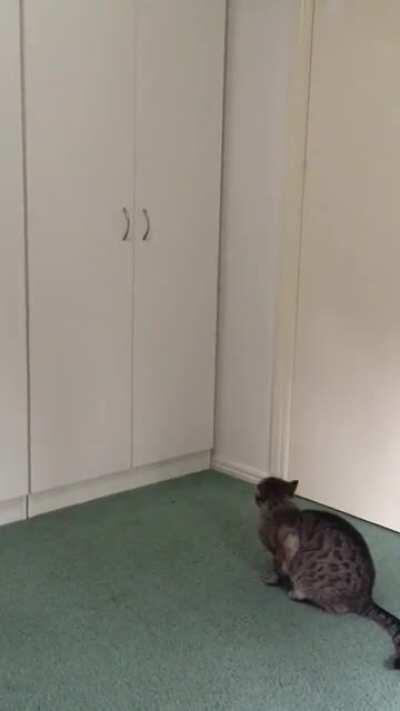 Slight miscatculation