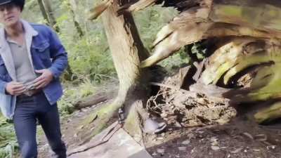 Outdoor transsexual sex video