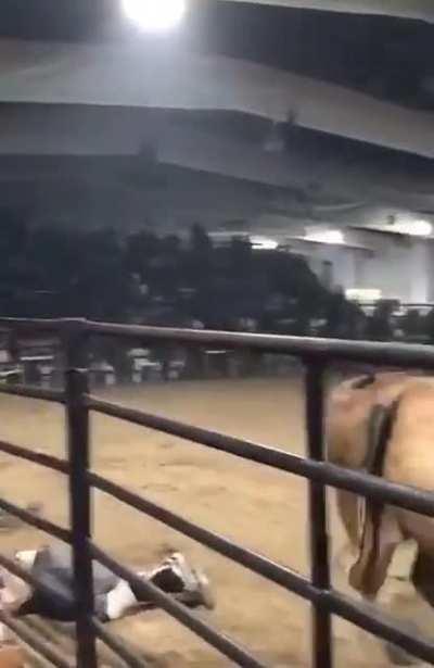 Redbull gives you wings!