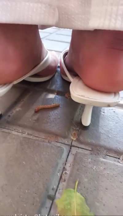 Latina Woman crush worm