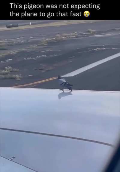 Dumbass wunk doesn't know how fast planes go