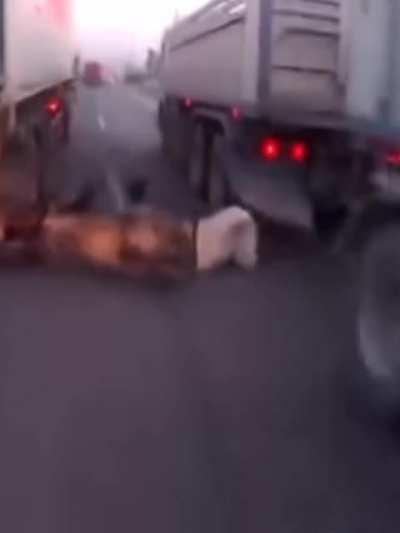 Rider thought that he can make it!