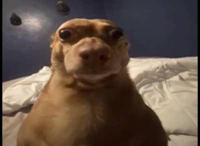 Mfw a woman is yelling at me for eating her baby