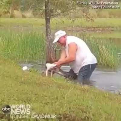74 y/o florida man saving his 3 m/o puppy without losing his cigar