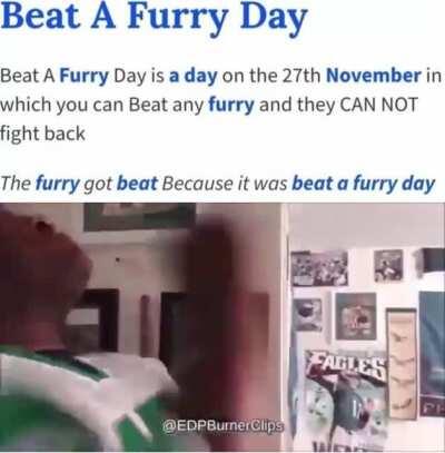 furry_irl