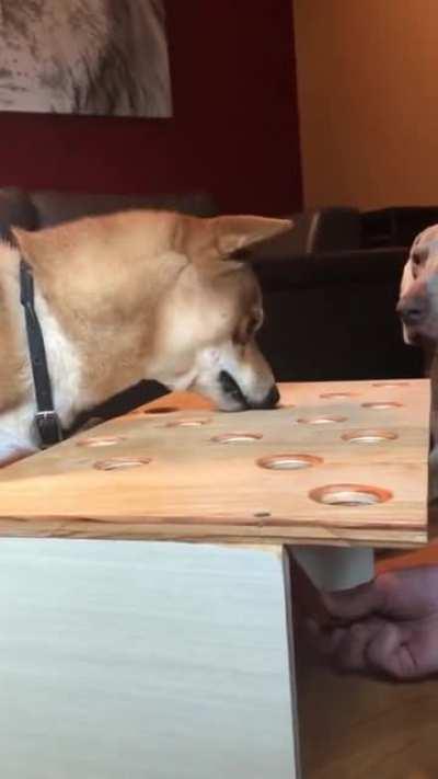 A Brief Look at Me Missing Out on Every Popular Stock in the Last 3 Months