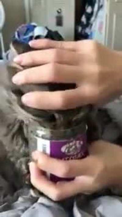 The nip has taken control