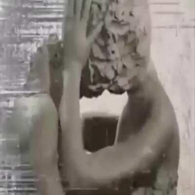 They put something in the water