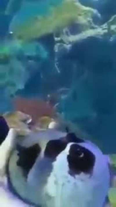 The best stress reliever