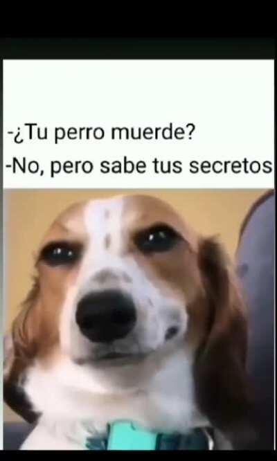 DitxizsenpaiUwU - Video #2229