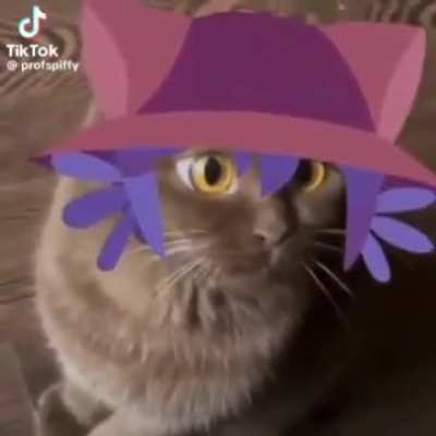 Found a video of Niko being Niko