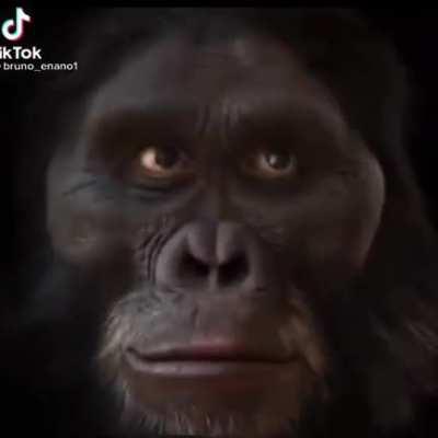 BeelcitosMemes - Video #9297