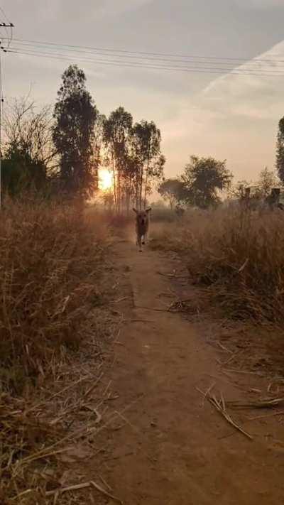 Did someone open the fridge?