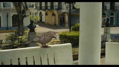 People logging into Apex today: