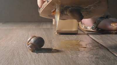 Exquisite snail crush - closer view pt.2 👡💕